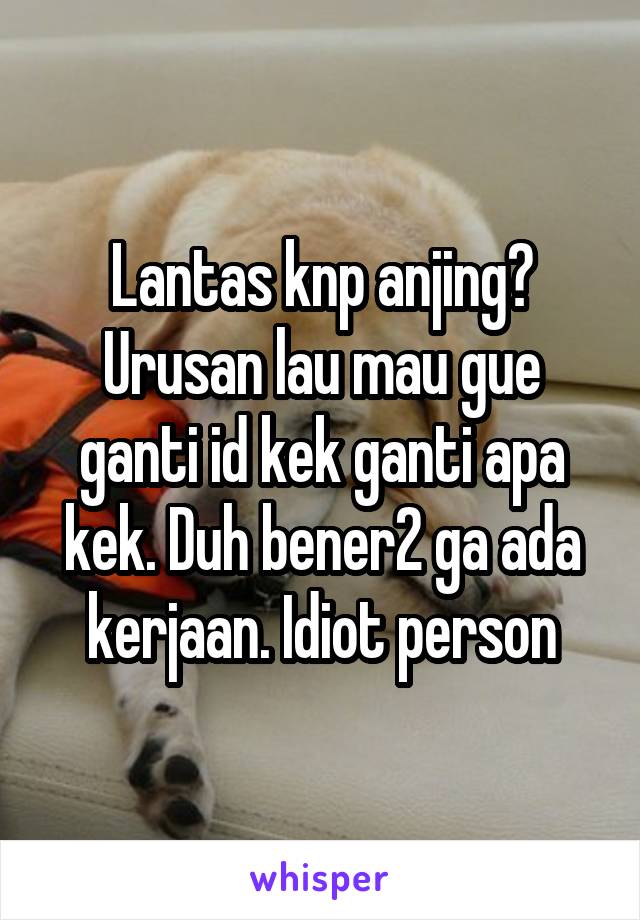 17++ Anjing idiot ideas in 2021 