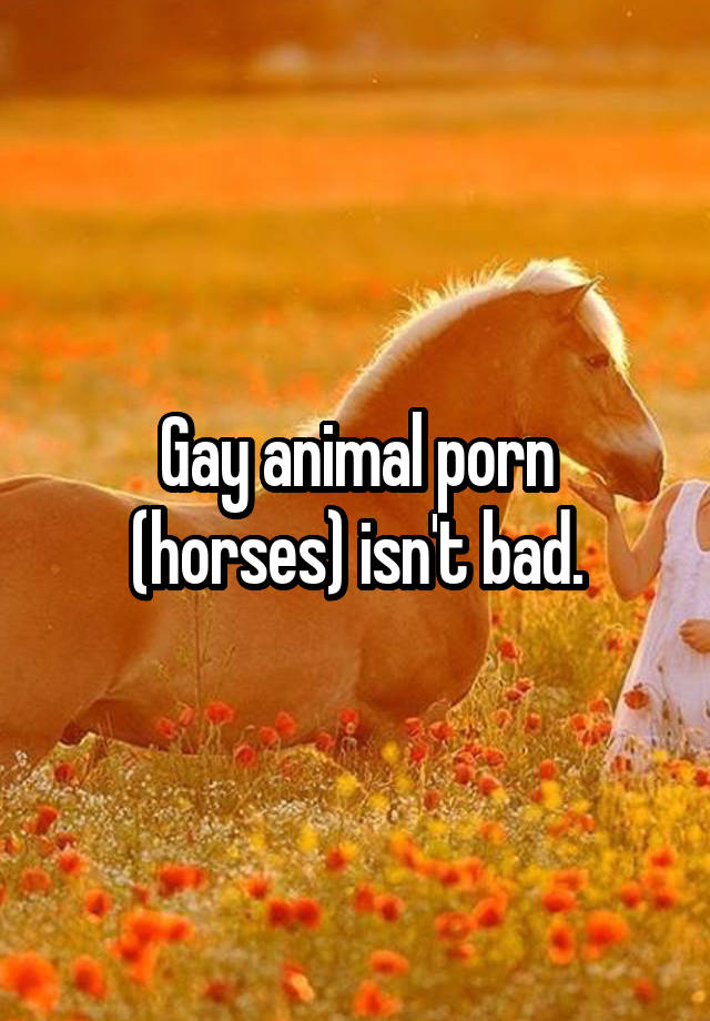 horse gay porn cum control