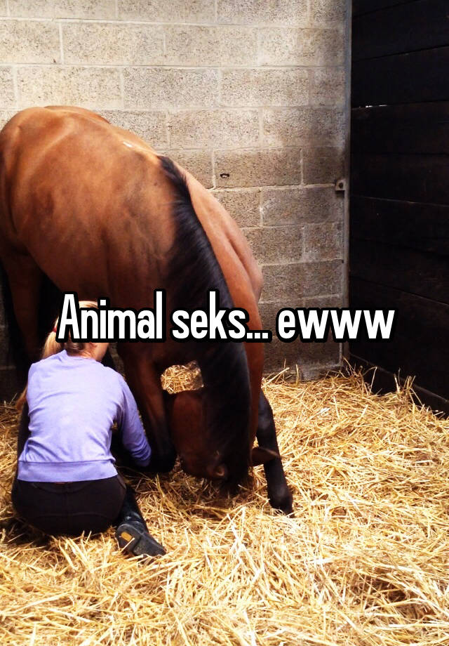 Seks animal Farm animal