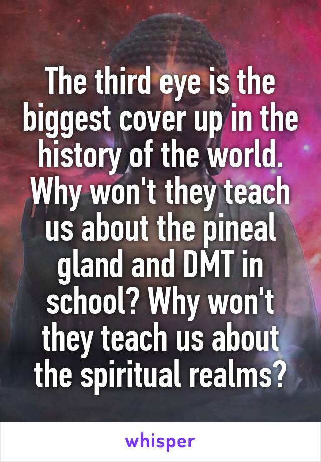 The third eye is the biggest cover up in the history of the world. Why won't they teach us about the pineal gland and DMT in school? Why won't they teach us about the spiritual realms?