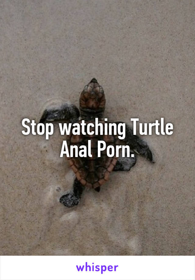 Reptile Anal Porn - Stop watching Turtle Anal Porn.