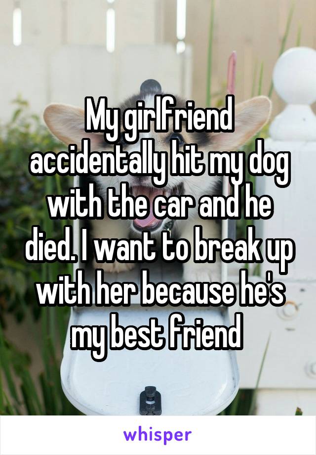 My girlfriend accidentally hit my dog with the car and he died. I want to break up with her because he's my best friend 