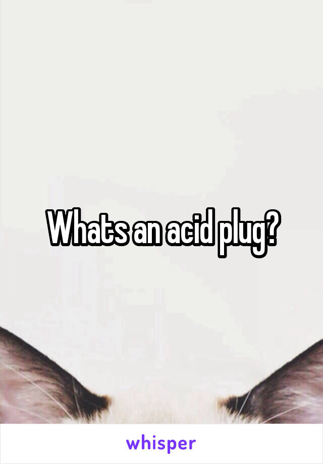 whats a plug