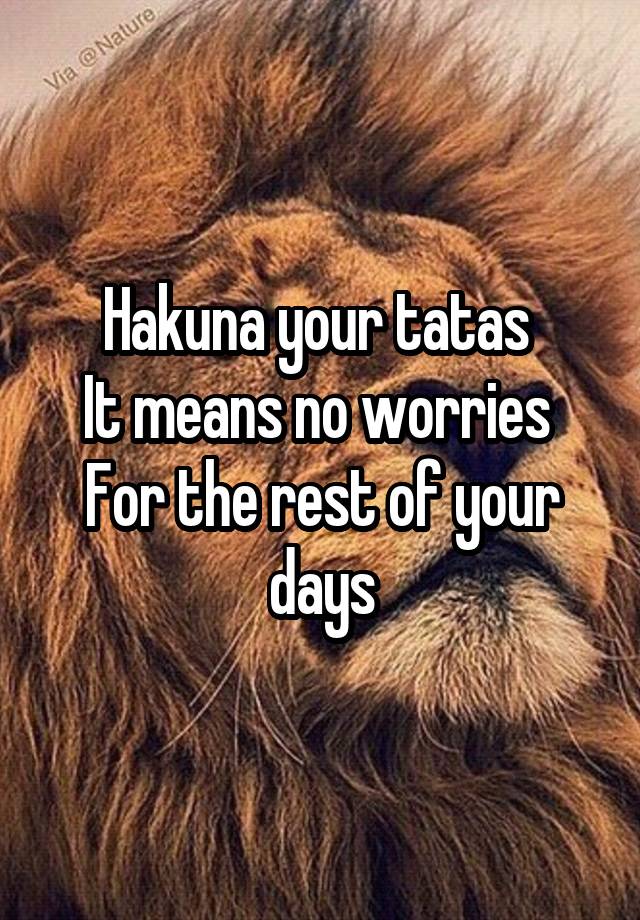 Hakuna Your Tatas It Means No Worries For The Rest Of Your Days 6877