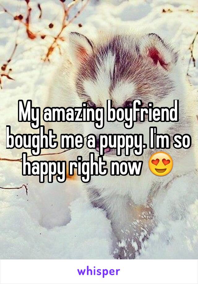 My amazing boyfriend bought me a puppy. I'm so happy right now 😍