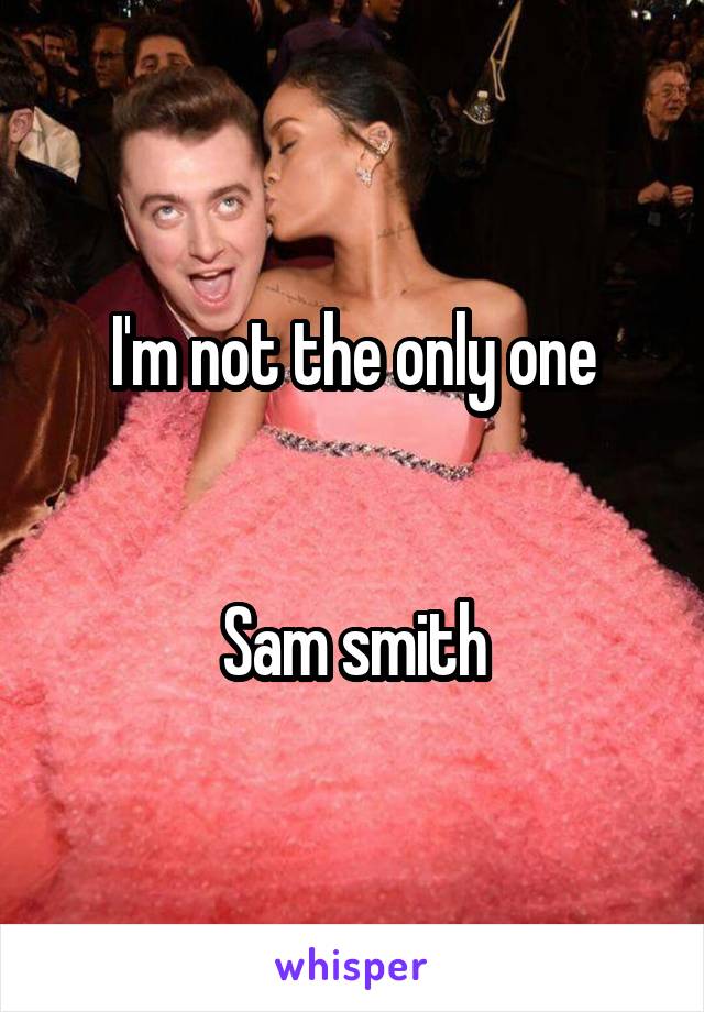 I'm not the only one


Sam smith
