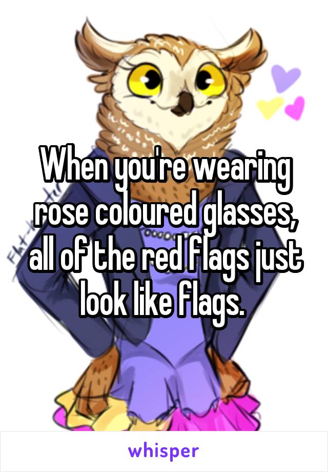 When you're wearing rose coloured glasses, all of the red flags just look like flags. 