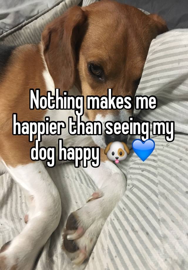 dog makes me happy