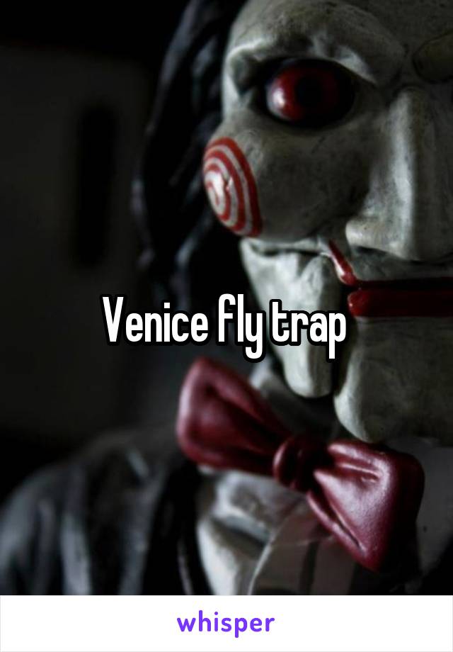 venice fly trap