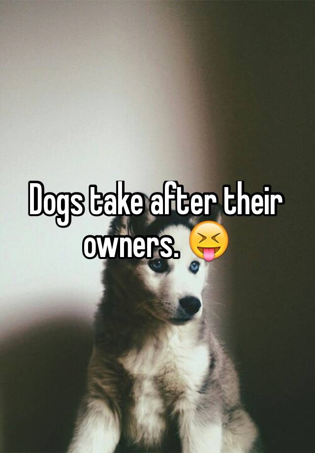 Dogs Take After Their Owners