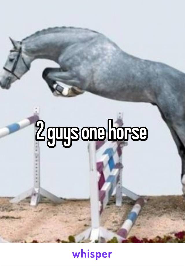 Original Video Two Guys One Horse Zip