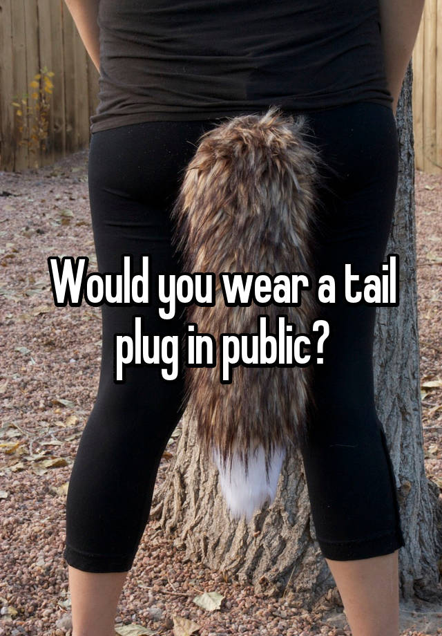 Would You Wear A Tail Plug In Public