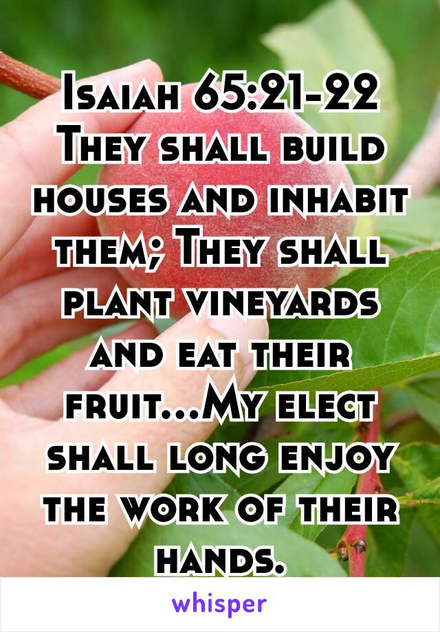 They Shall Build Houses – Linda's Bible Study