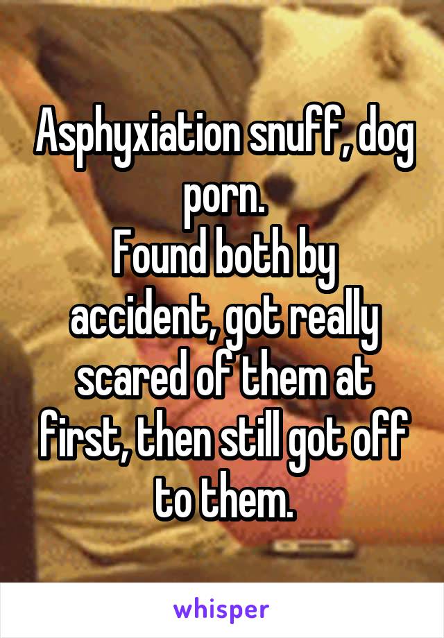Asphyxiation Porn - Asphyxiation snuff, dog porn. Found both by accident, got ...