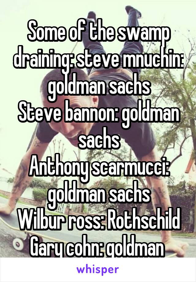 Some Of The Swamp Draining Steve Mnuchin Goldman Sachs Steve Bannon Goldman Sachs Anthony Scarmucci Goldman
