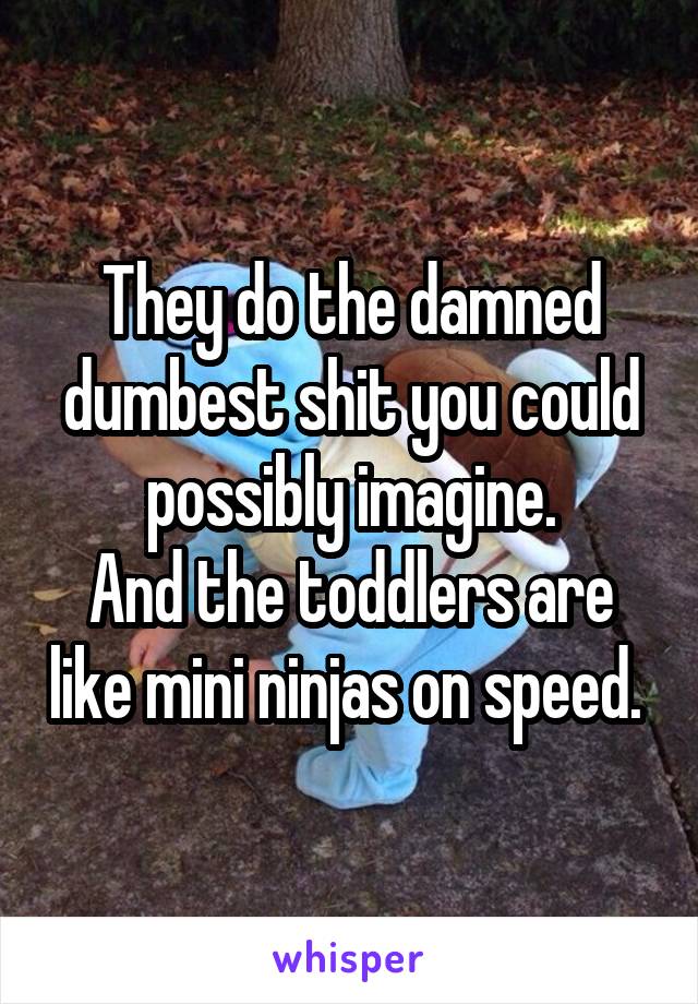 They do the damned dumbest shit you could possibly imagine.
And the toddlers are like mini ninjas on speed. 