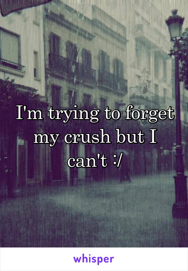 Crush about should forget i my WHEN YOU