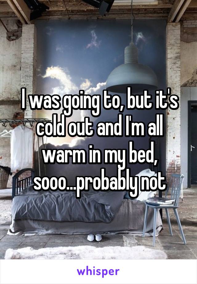 I was going to, but it's cold out and I'm all warm in my bed, sooo...probably not