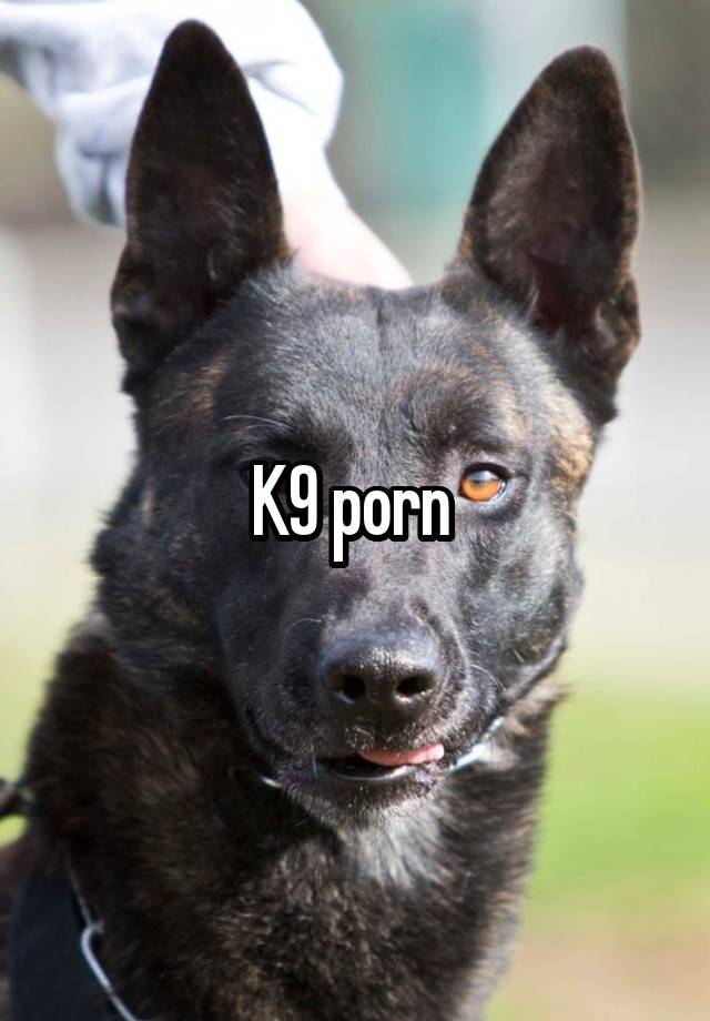 K9 Porn