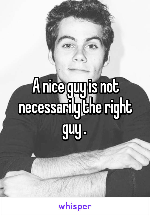 A nice guy is not necessarily the right guy . 
