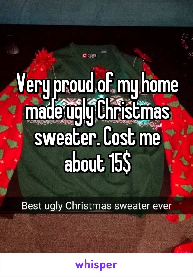 Very proud of my home made ugly Christmas sweater. Cost me about 15$
