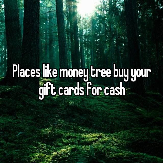 places like money tree