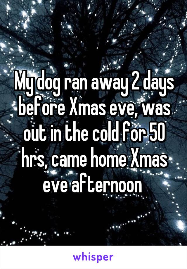 My dog ran away 2 days before Xmas eve, was out in the cold for 50 hrs, came home Xmas eve afternoon 