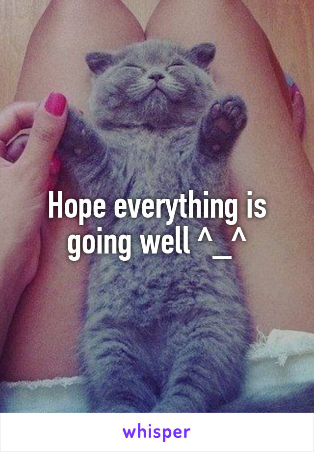 Hope Everything Is Ok Meme