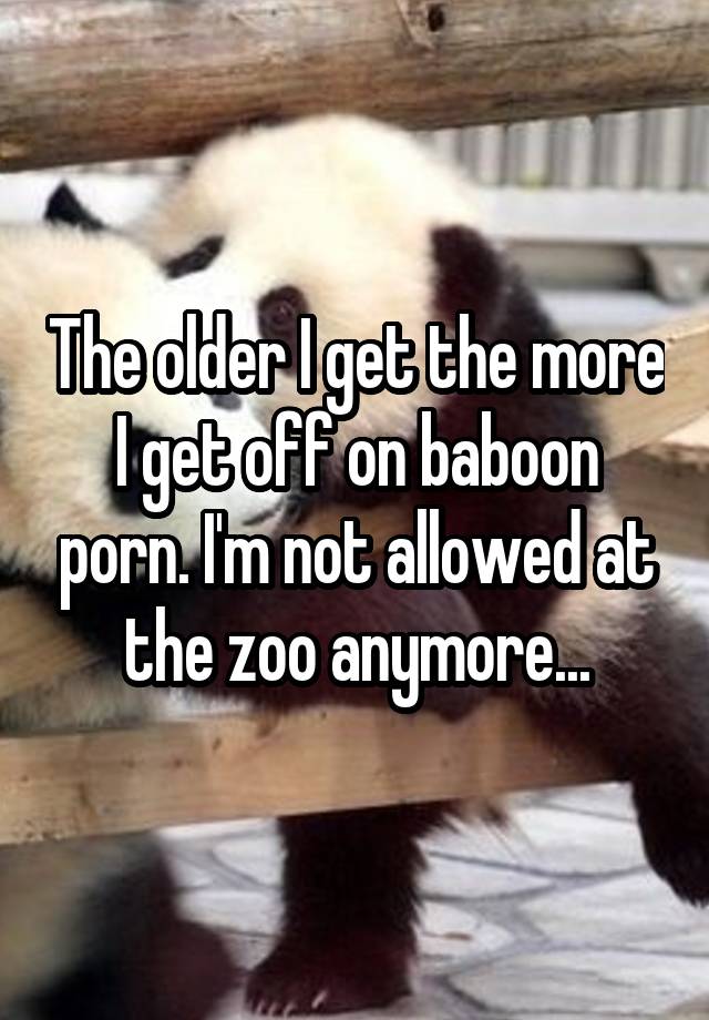 Baboon Animals Porn - The older I get the more I get off on baboon porn. I'm not ...