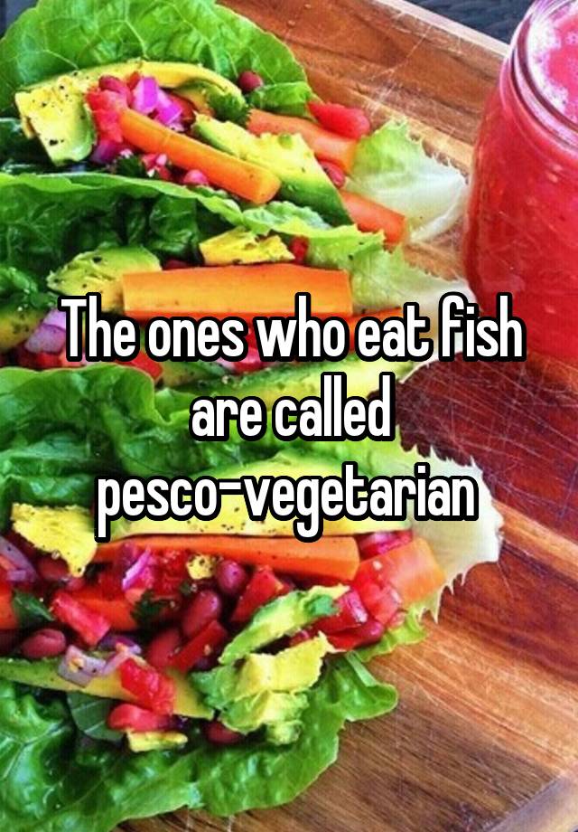 The Ones Who Eat Fish Are Called Pesco Vegetarian,What Is Viscose Fabric Like