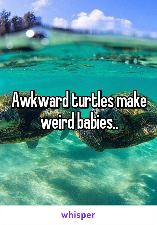 Awkward Turtles Make Weird Babies