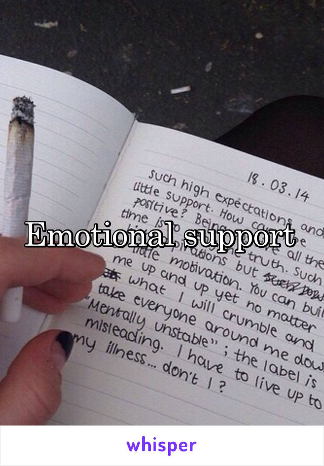 Emotional support 