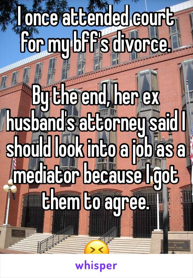 I once attended court for my bff's divorce. 

By the end, her ex husband's attorney said I should look into a job as a mediator because I got them to agree. 

😆