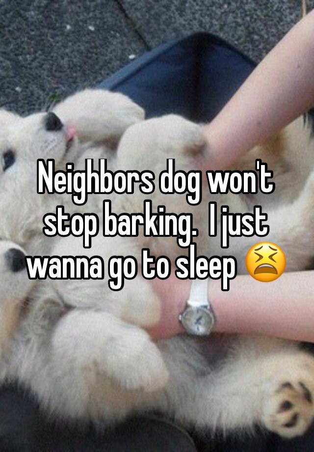 what to do when neighbors dog wont stop barking