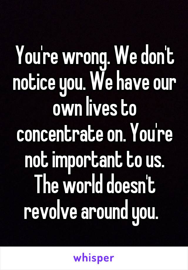 you-re-wrong-we-don-t-notice-you-we-have-our-own-lives-to-concentrate