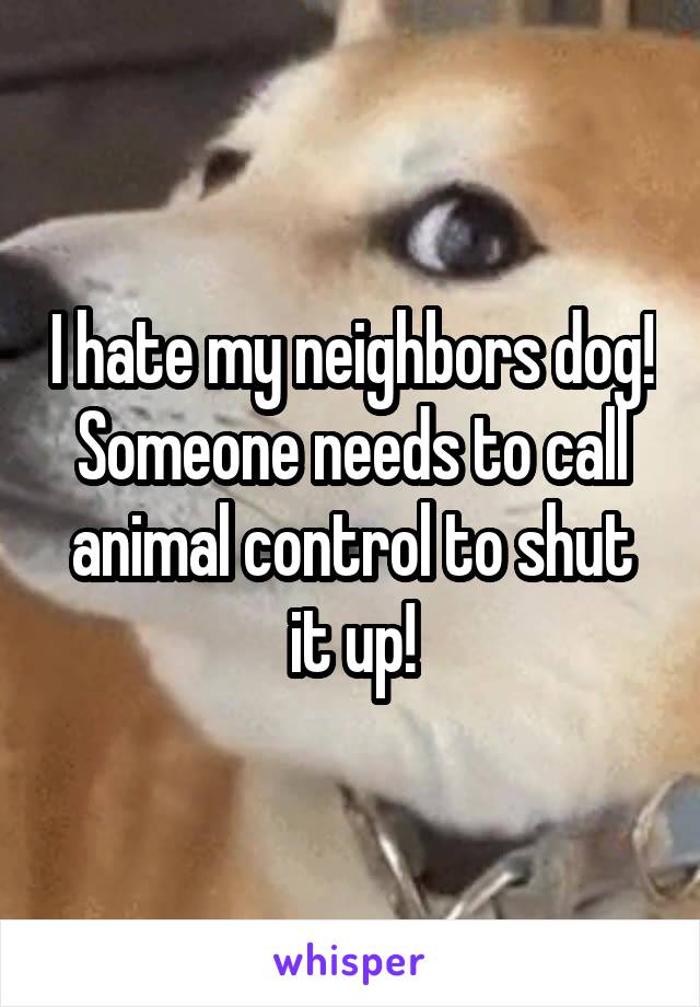 Calling Animal Control On Neighbor's Dog Clearance, 51% OFF |  