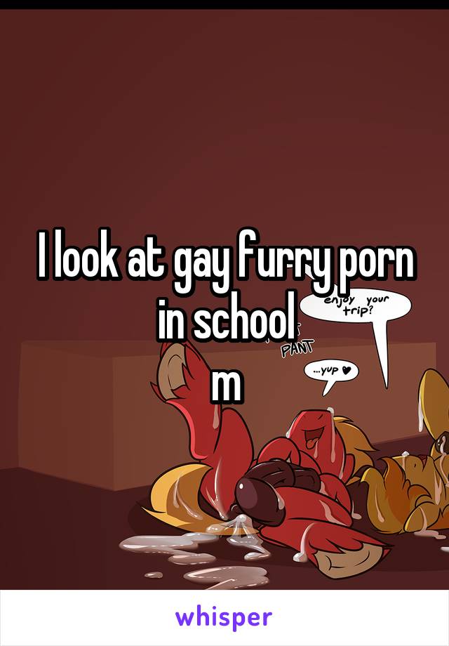 Gay Furry - I look at gay furry porn in school m