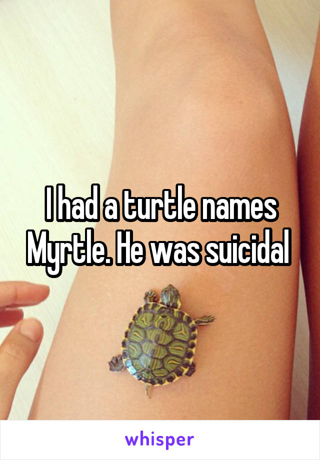 I Had A Turtle Names Myrtle He Was Suicidal,Authentic Vegetarian Chinese Food