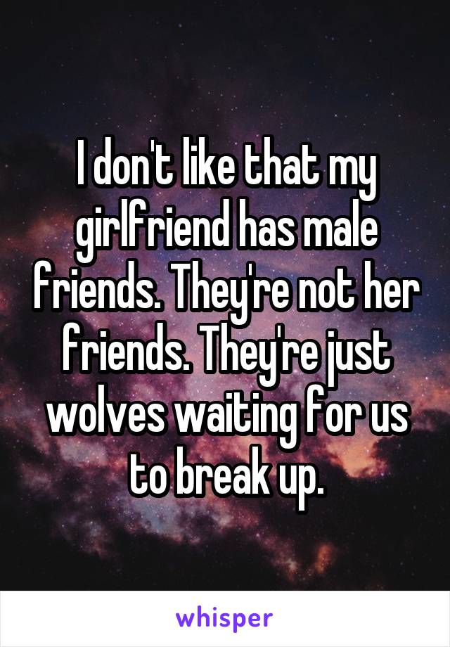 I don't like that my girlfriend has male friends. They're not her friends. They're just wolves waiting for us to break up.