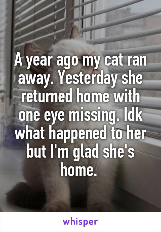 A year ago my cat ran away. Yesterday she returned home with one eye missing. Idk what happened to her but I'm glad she's home. 