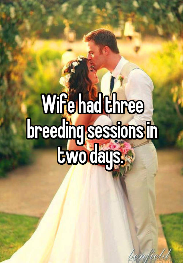 Wife had three breeding sessions in two days.
