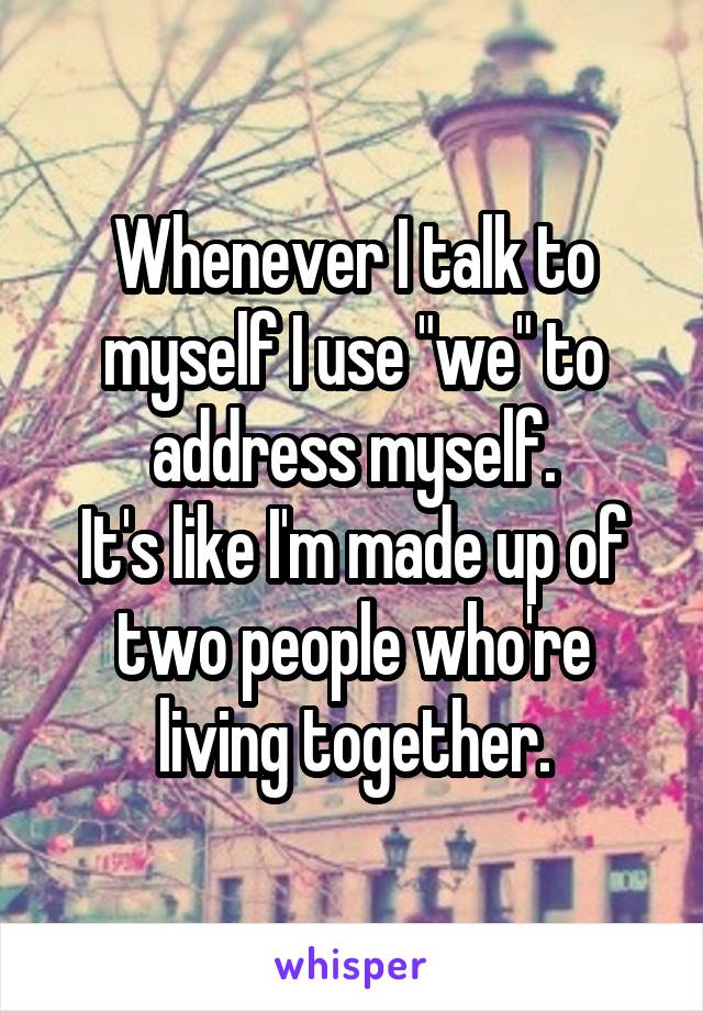 whenever-i-talk-to-myself-i-use-we-to-address-myself-it-s-like-i-m