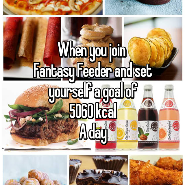 Fantasy Feeder