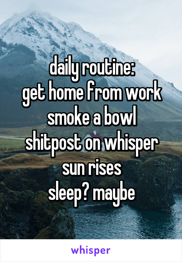 daily routine:
get home from work
smoke a bowl
shitpost on whisper
sun rises
sleep? maybe