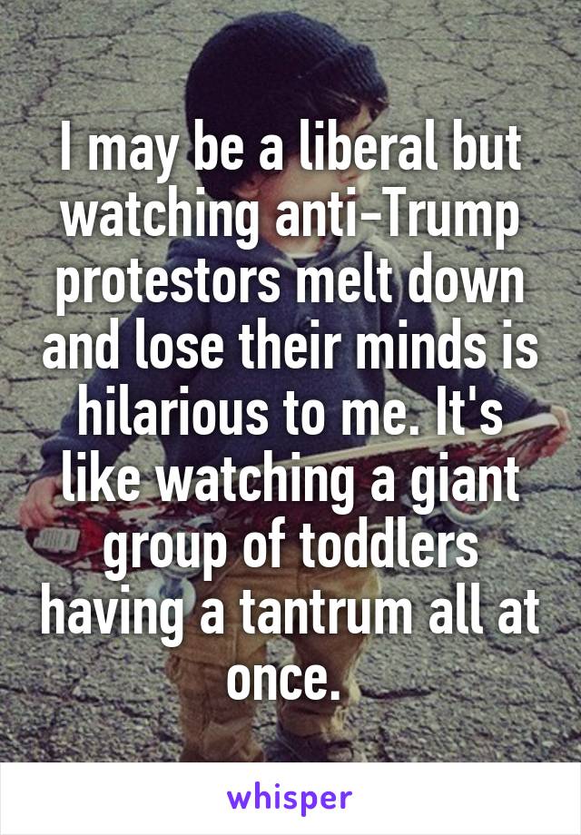 I may be a liberal but watching anti-Trump protestors melt down and lose their minds is hilarious to me. It's like watching a giant group of toddlers having a tantrum all at once. 