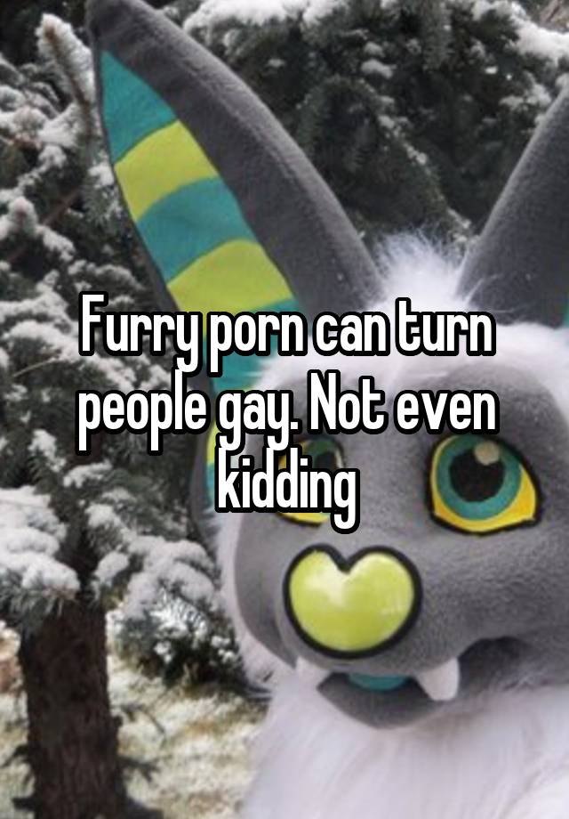 Scary Furry Porn - Furry porn can turn people gay. Not even kidding