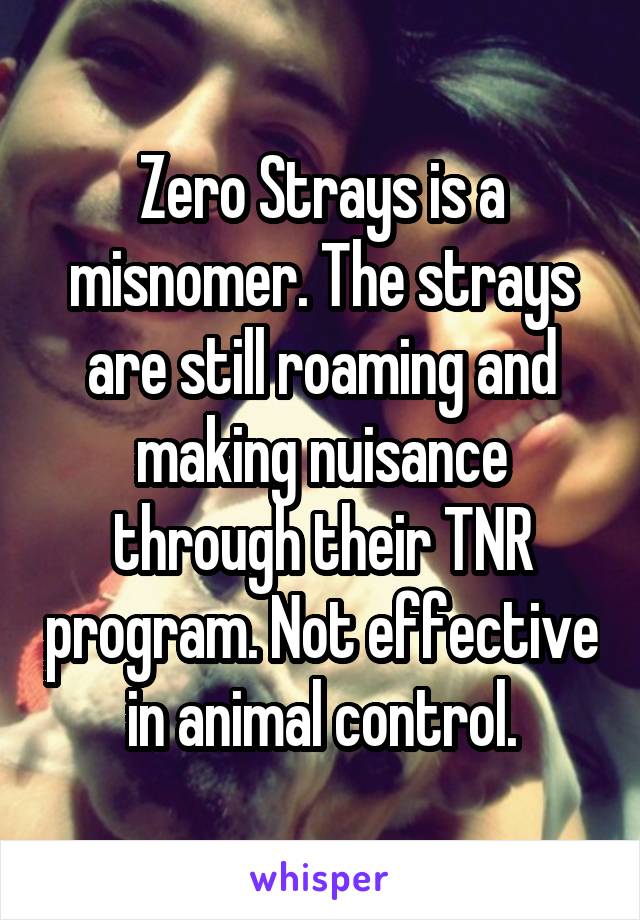 Zero Strays is a misnomer. The strays are still roaming and making nuisance through their TNR program. Not effective in animal control.