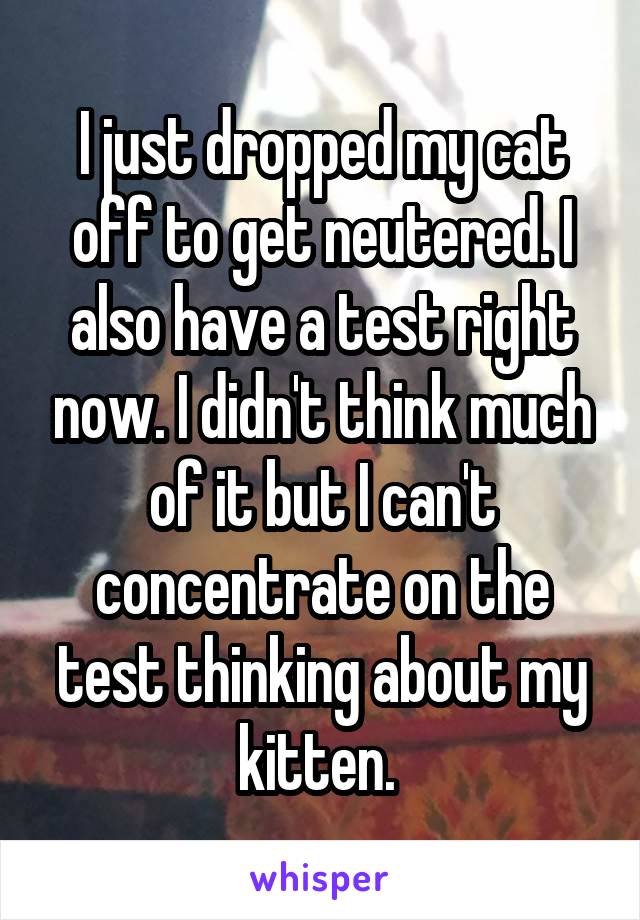 I just dropped my cat off to get neutered. I also have a test right now. I didn't think much of it but I can't concentrate on the test thinking about my kitten. 