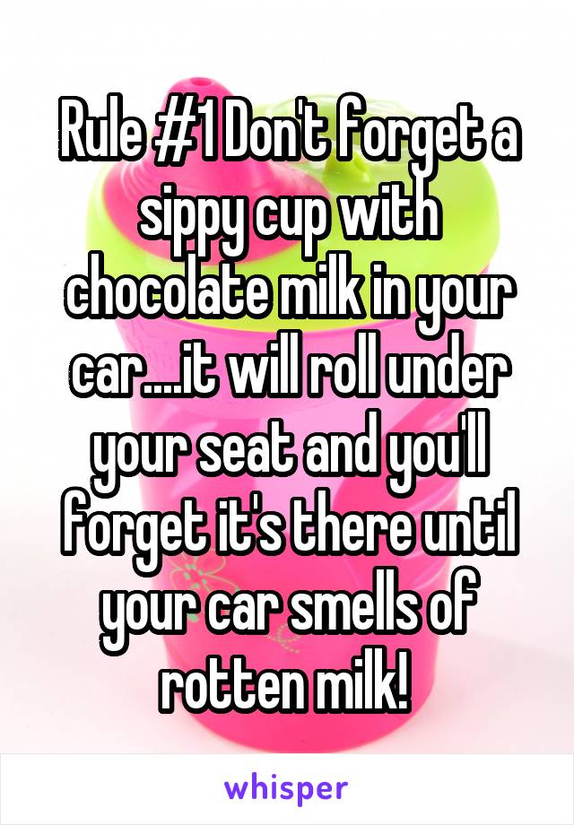 Rule #1 Don't forget a sippy cup with chocolate milk in your car....it will roll under your seat and you'll forget it's there until your car smells of rotten milk! 