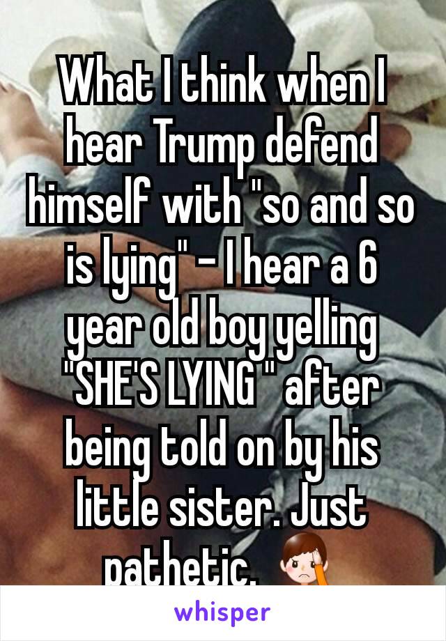 What I think when I hear Trump defend himself with "so and so is lying" - I hear a 6 year old boy yelling "SHE'S LYING " after being told on by his little sister. Just pathetic. 🤦‍♂️